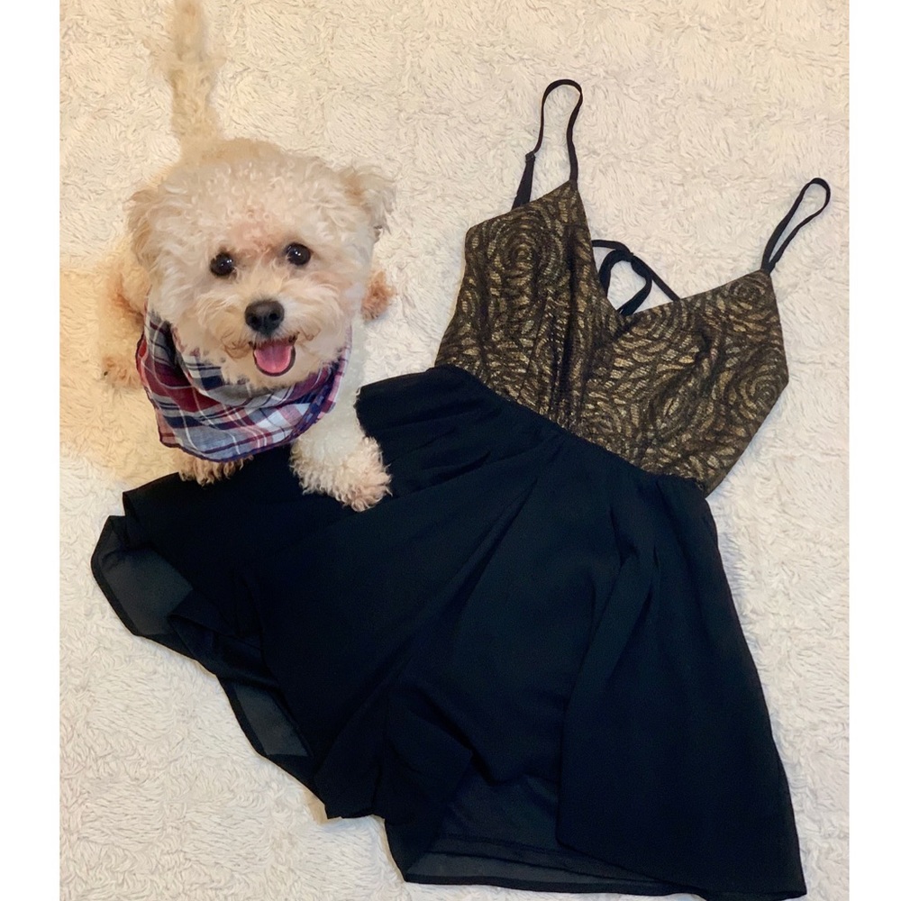 Windsor black/gold party romper dress